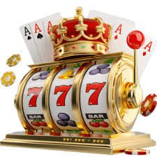 257winvn